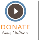 donate-now-ro