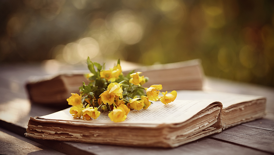 The old open book and yellow buttercups on a wooden table.