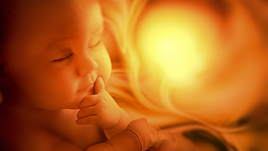 Embryo inside mother, ultrasound image, maternity concept design