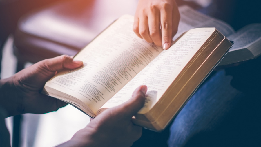 cherish bible