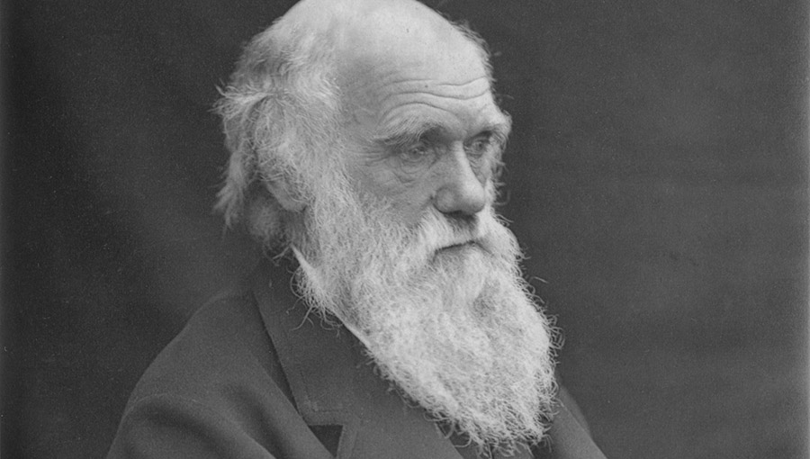 Renowned Yale University professor is openly questioning academia’s unwavering allegiance to Charles Darwin’s theory of evolution.